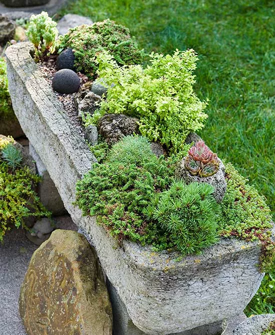 Small Container Gardens: The Versatility of Trough Planters