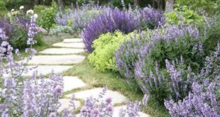 landscape design ideas