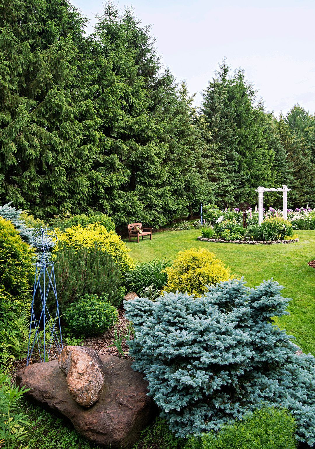Sustainable Landscaping: The Beauty and Benefits of Evergreen Plants