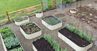 galvanized raised garden beds