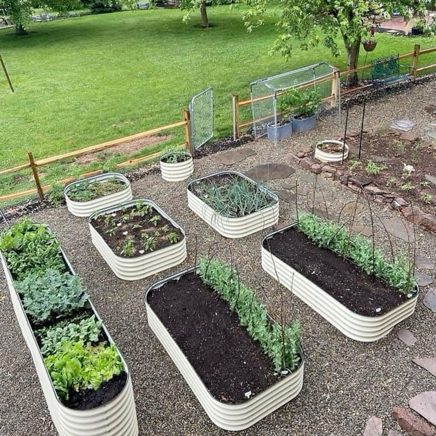 The Advantages of Galvanized Raised Garden Beds for Urban Gardeners