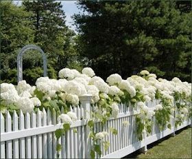The Appeal of a White Picket Fence Front Yard
