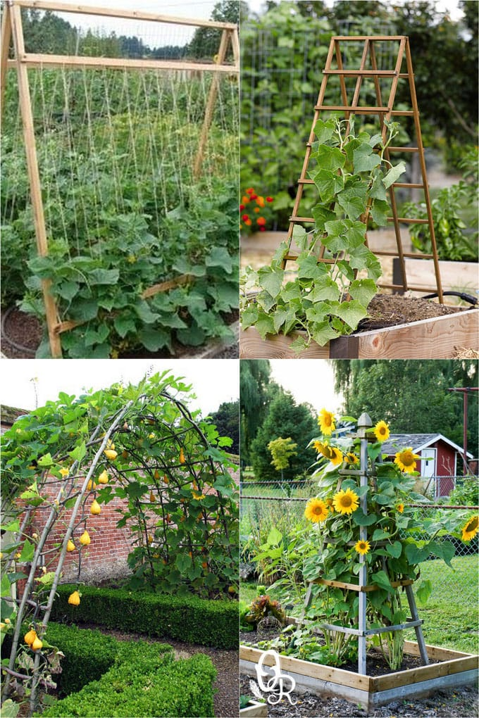 The Art of Creating a Beautiful Vegetable Garden