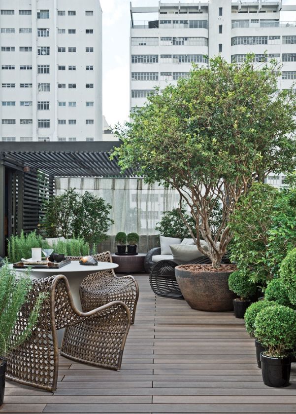 The Art of Creating a Stunning Roof Garden Design
