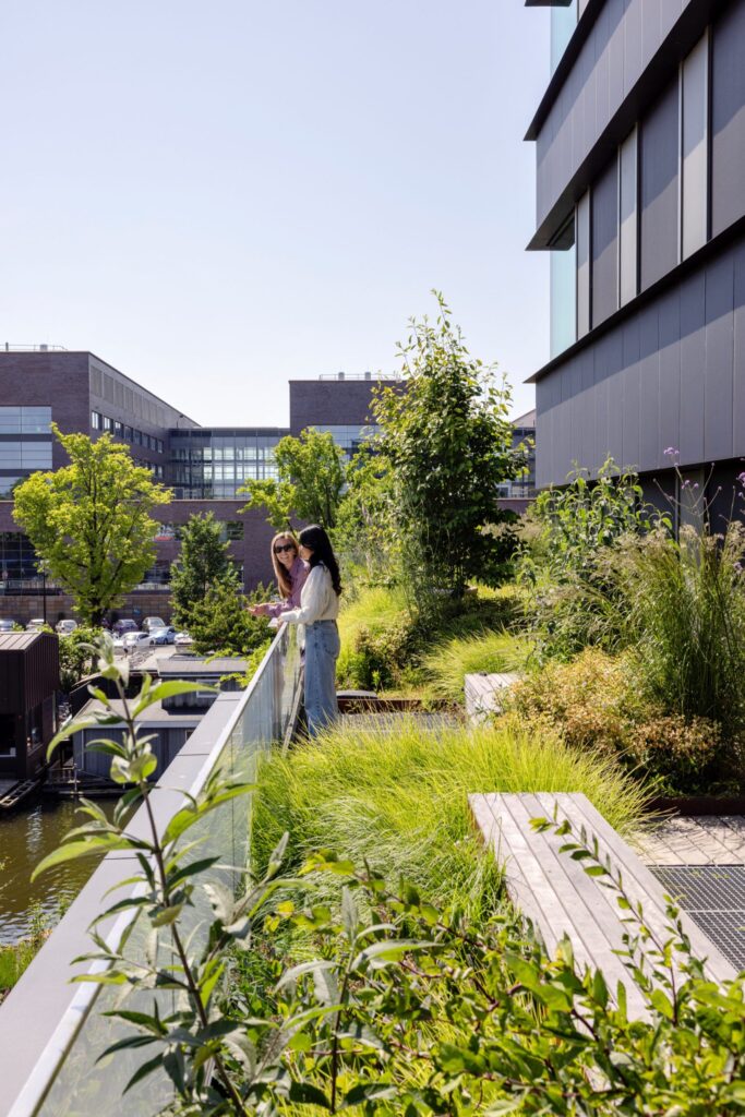 roof garden design