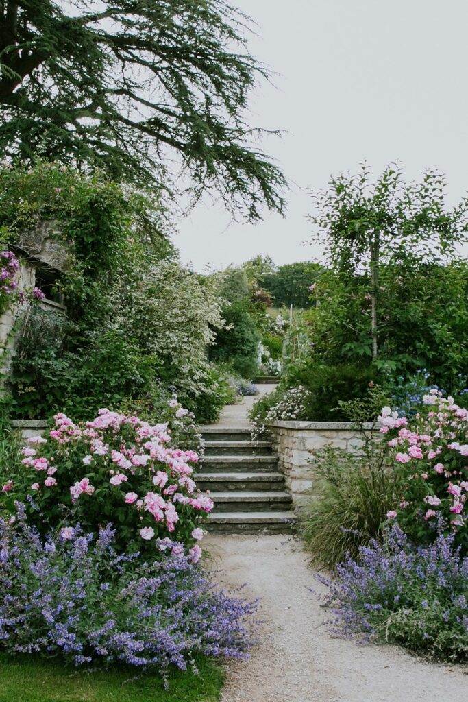 garden landscaping