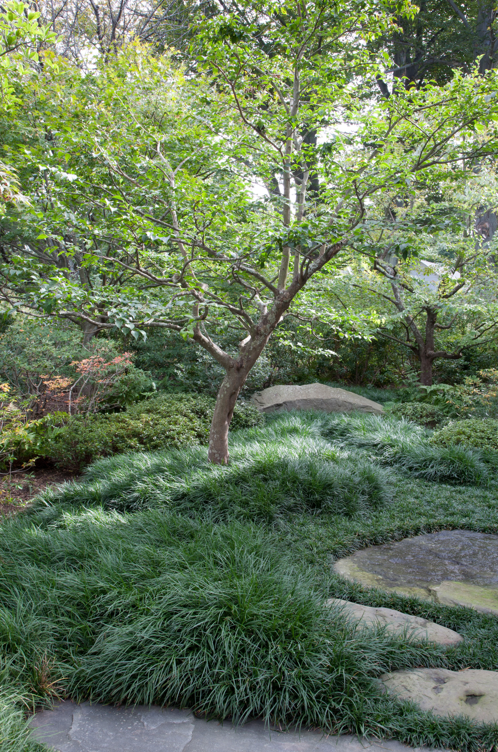 The Art of Japanese Garden Design: Harmony and Tranquility in Nature