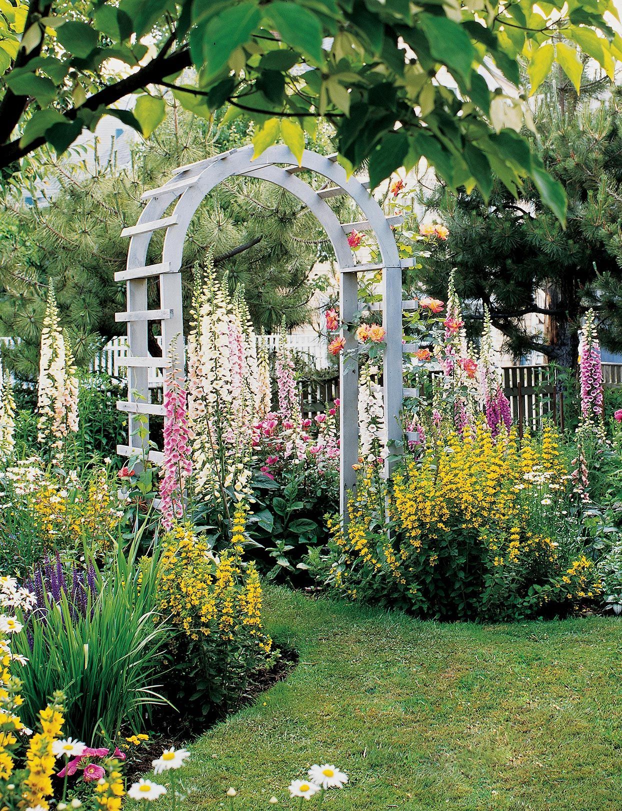 The Beauty and Elegance of Garden Arches