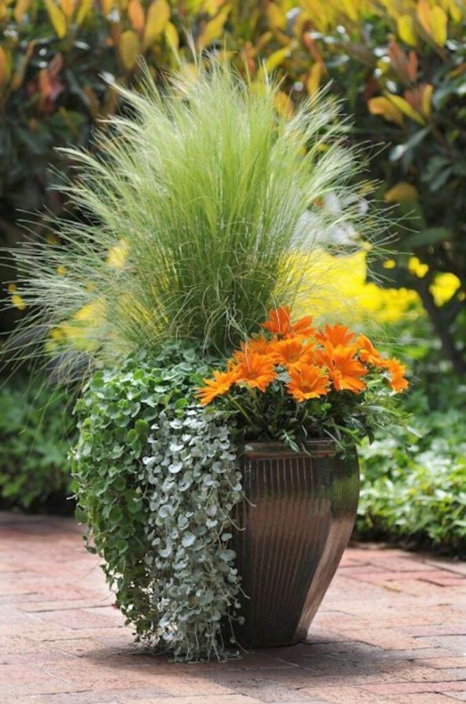 garden planters pots