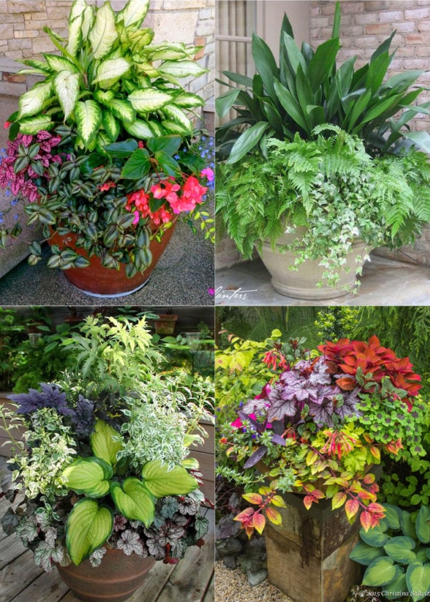 The Beauty and Functionality of Garden Planters and Pots
