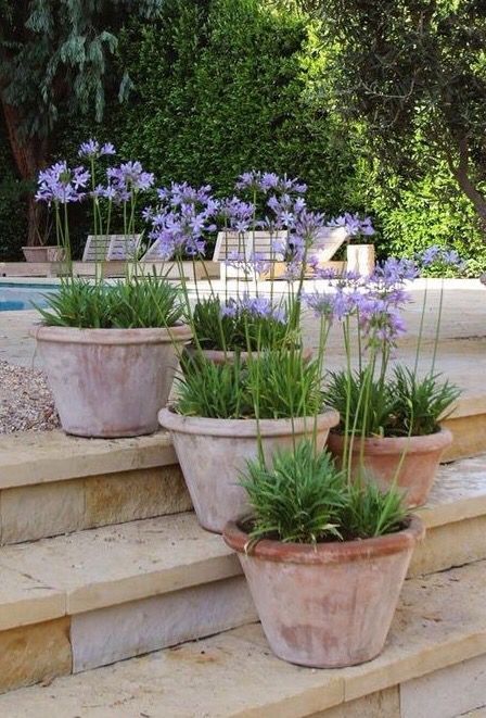 The Beauty and Versatility of Garden Pots
