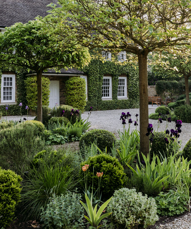 The Beauty of Evergreen Landscaping: Perpetual Charm for Your Outdoor Space