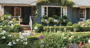 front yard garden