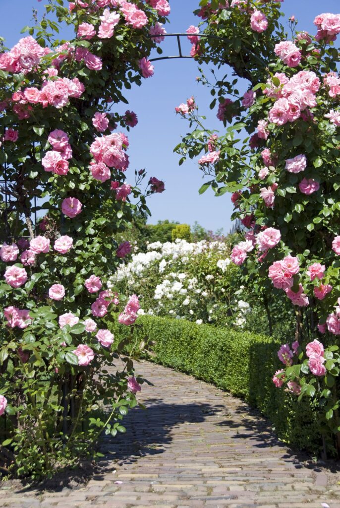 garden arches