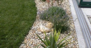 garden pebbles