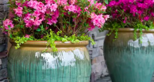 garden pots