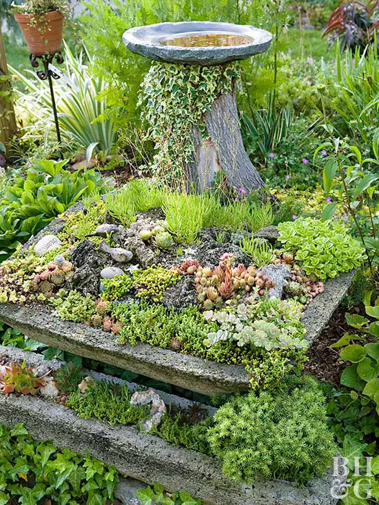 The Beauty of Garden Troughs: A Versatile Addition to Your Outdoor Space