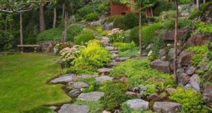 landscaping with rocks