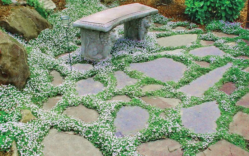 The Beauty of Paver Stones: An Elegant Addition to Your Outdoor Space