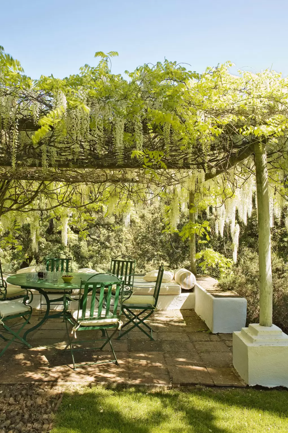 The Beauty of Pergolas: Enhancing Your Garden with Unique Ideas