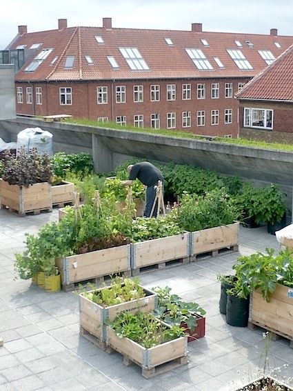 The Beauty of Rooftop Gardens