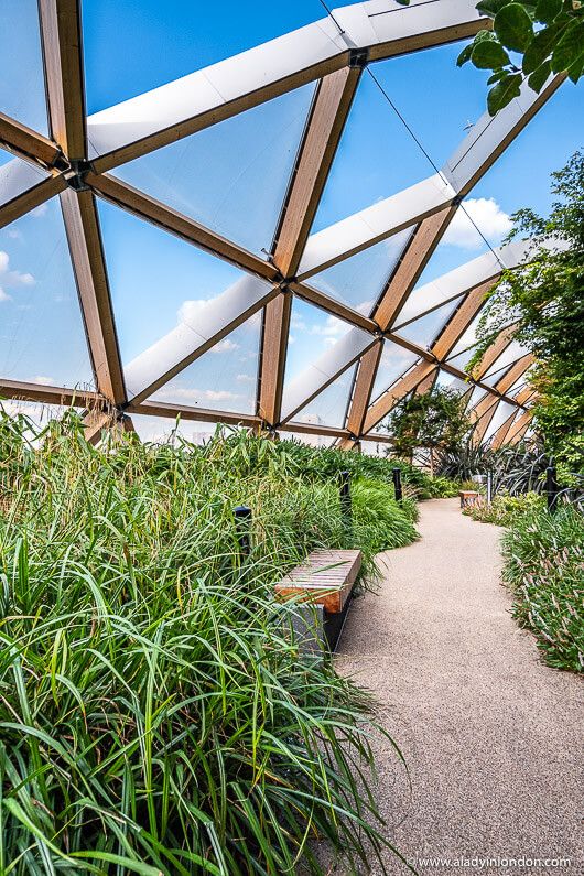 The Beauty of a Rooftop Garden: A Green Oasis in the Sky
