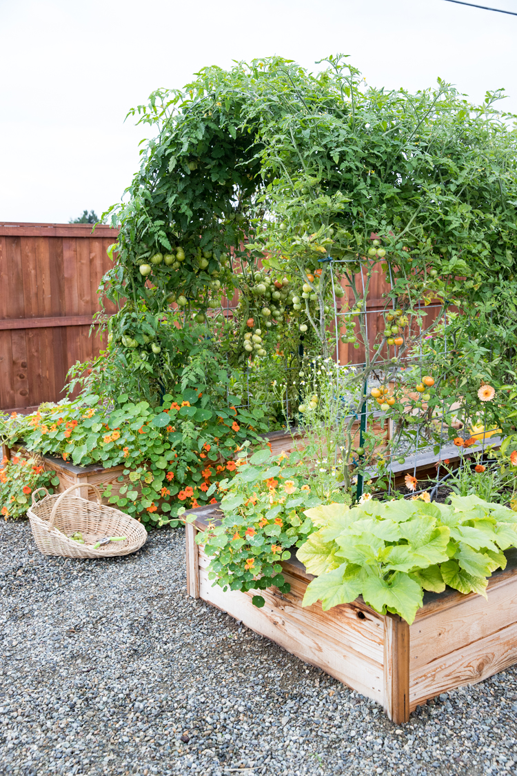 The Benefits of Raised Bed Gardening