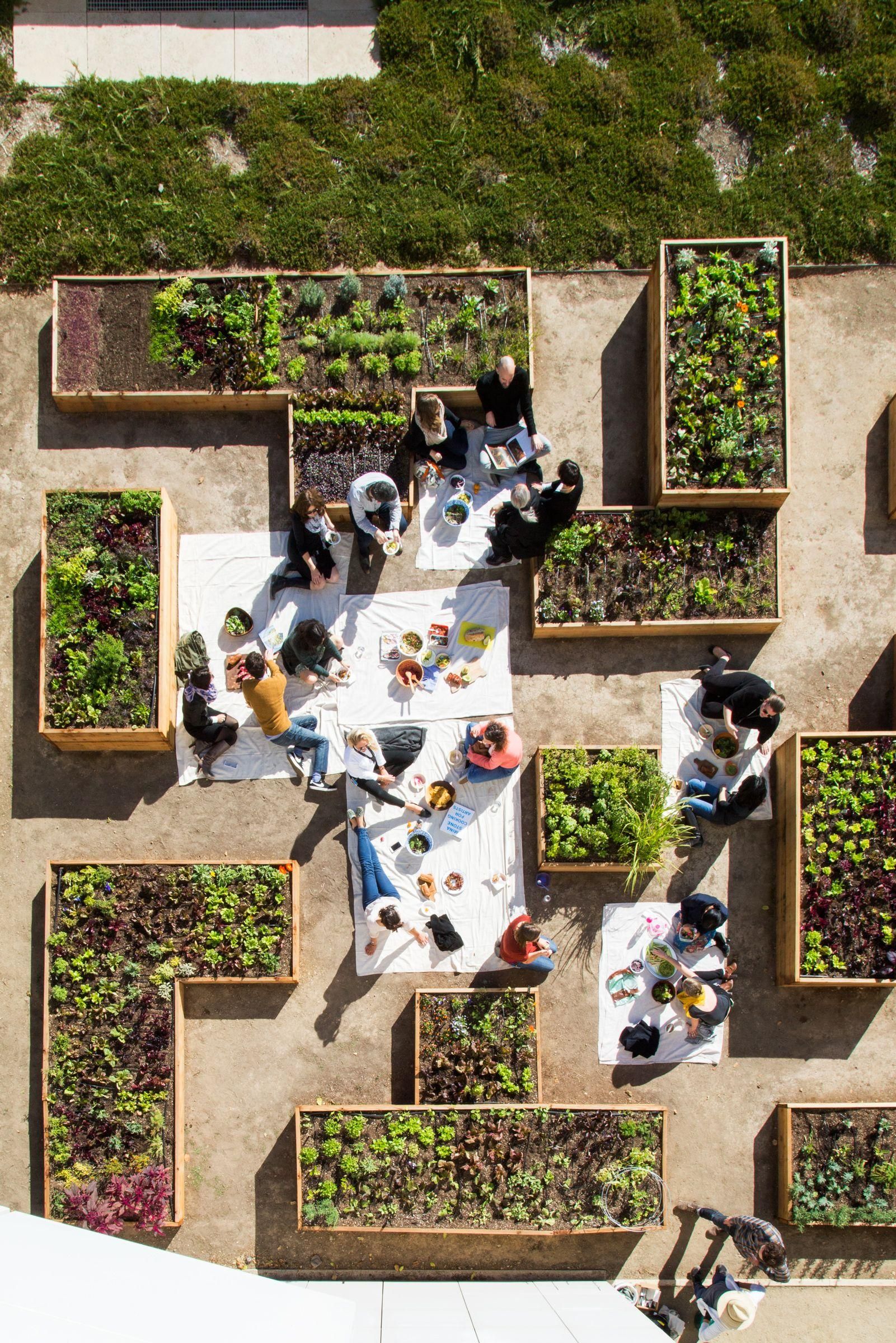 The Benefits of a Lush Rooftop Garden