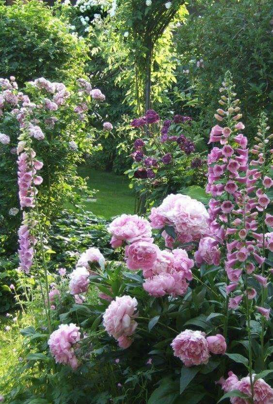 The Charm of Cottage Gardens