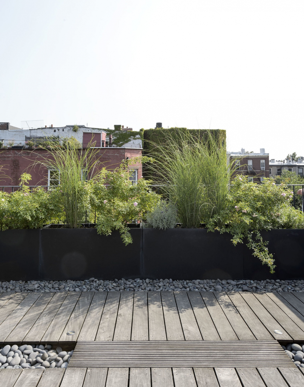 The Charms of Rooftop Gardens: Designing a Green Oasis Above