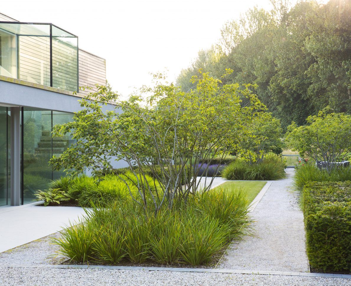 contemporary garden design