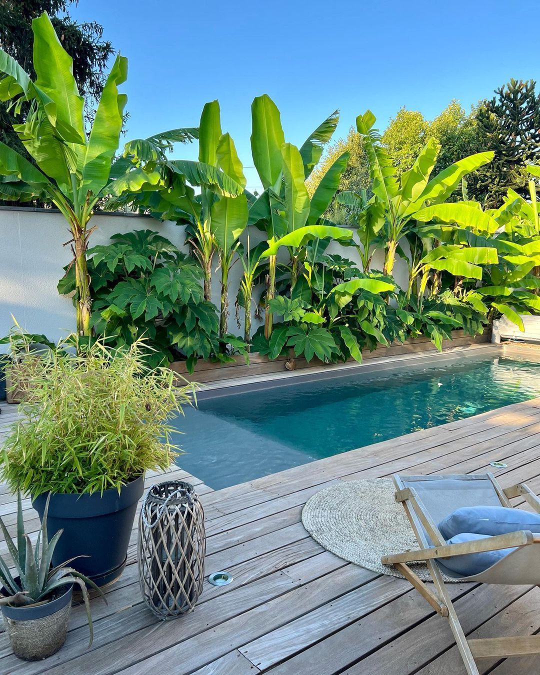 The Oasis in Your Own Backyard: A Guide to Creating the Perfect Pool Haven