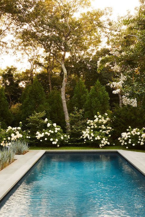 The Perfect Addition to Your Outdoor Oasis: A Backyard Pool