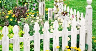 white picket fence front yard