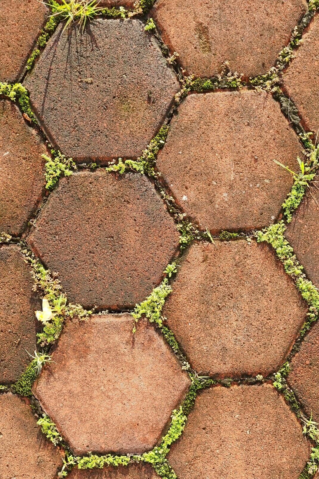 The Versatile Beauty of Paver Stones