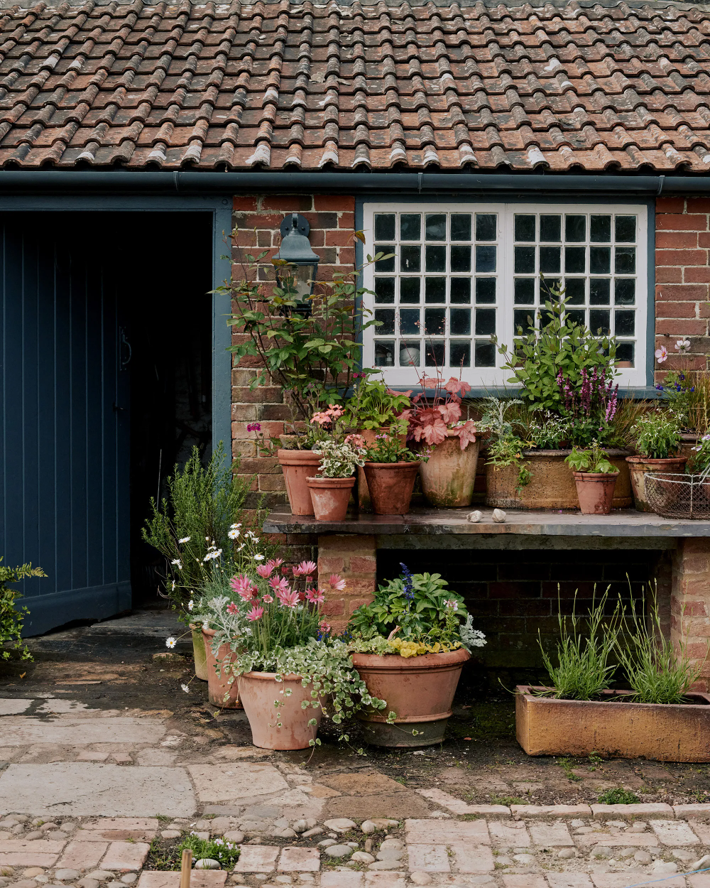 The Versatile World of Garden Pots