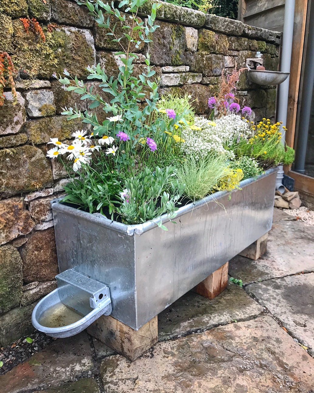 The Versatile and Stylish Garden Troughs