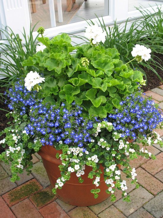 The Versatility of Garden Pots: A Guide to Enhancing Your Outdoor Space