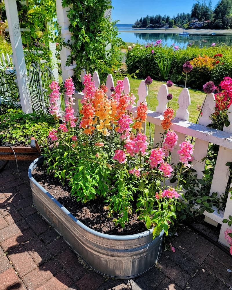 Top Flower Garden Ideas for Your Outdoor Space