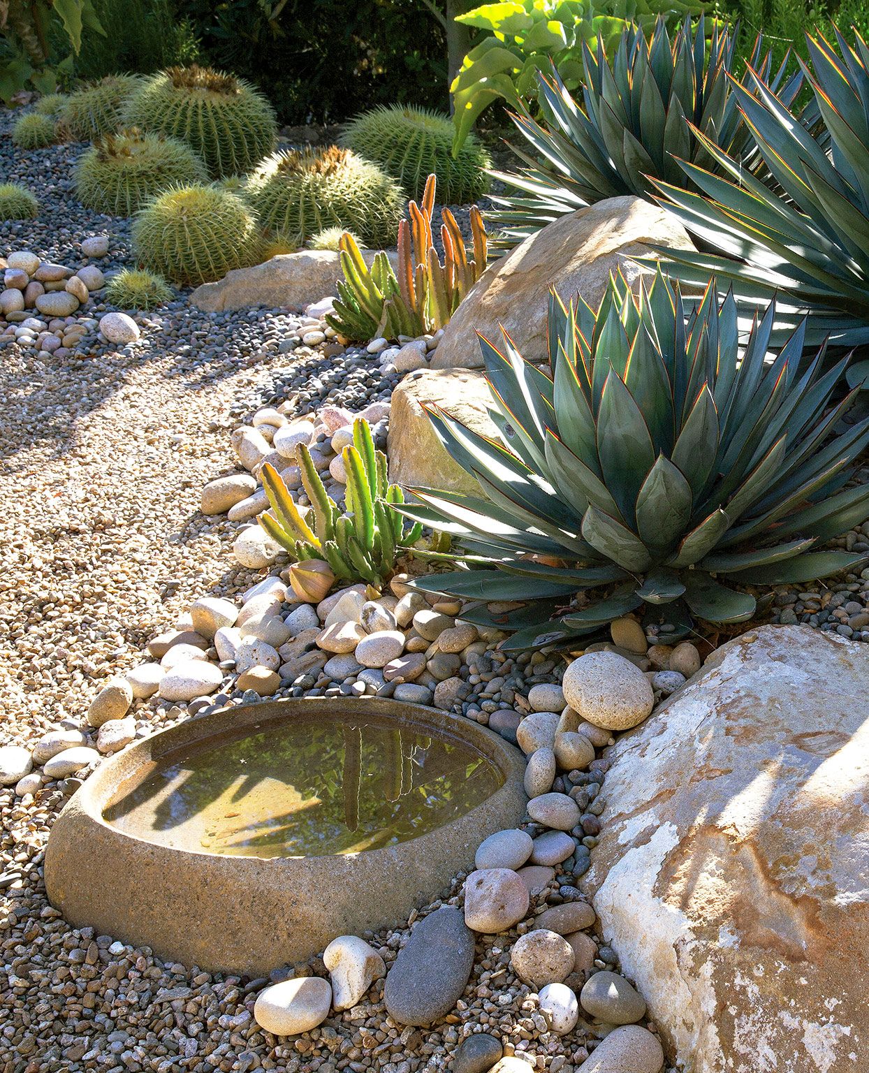 Transform Your Backyard with Stunning Rock Landscaping