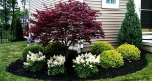 landscaping ideas for front of house