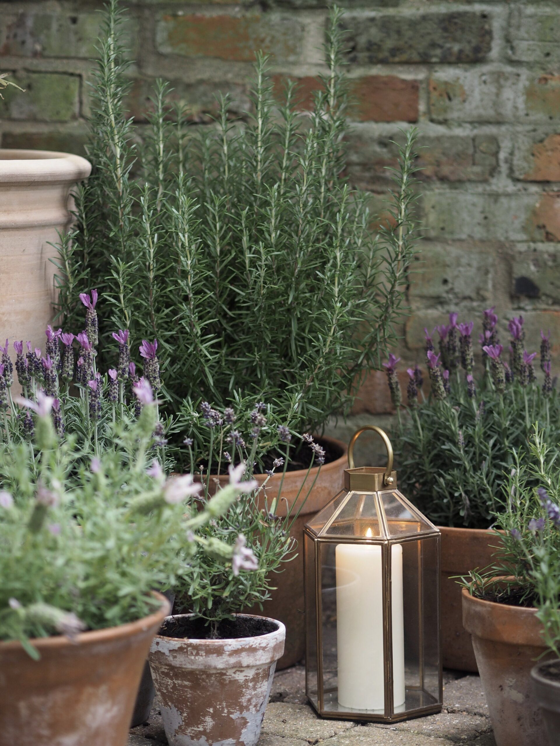 Transform Your Outdoor Space with a Charming Patio Garden