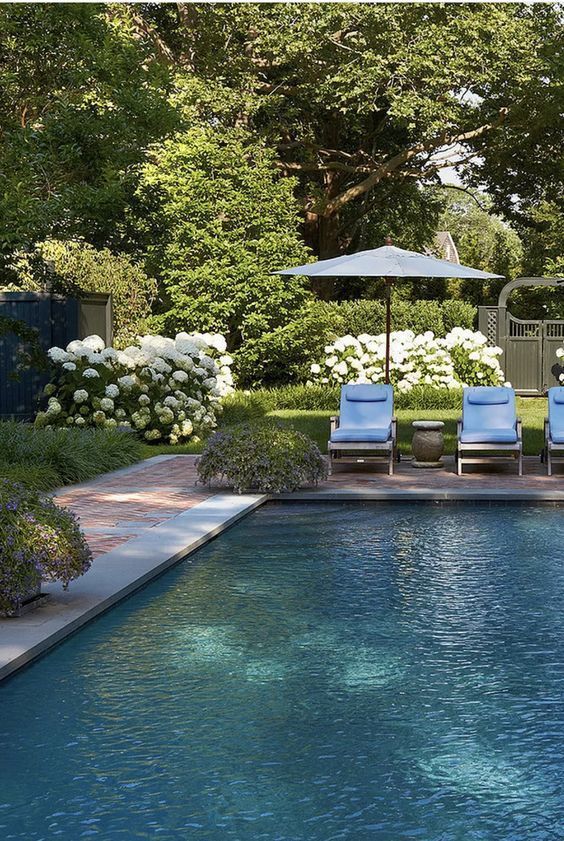 Transform Your Outdoor Space with a Stunning Backyard Pool