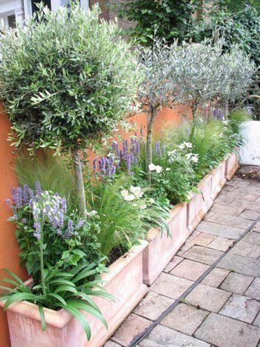 Transform Your Patio with a Lush Garden Oasis: Creative Plant Ideas for Outdoor Spaces