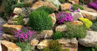 backyard rock landscaping