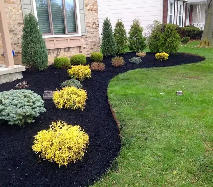 front yard landscape