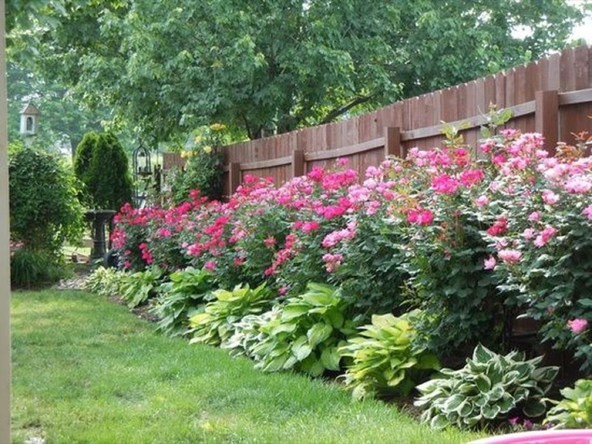 Transforming Your Front Yard into a Lush Garden Oasis