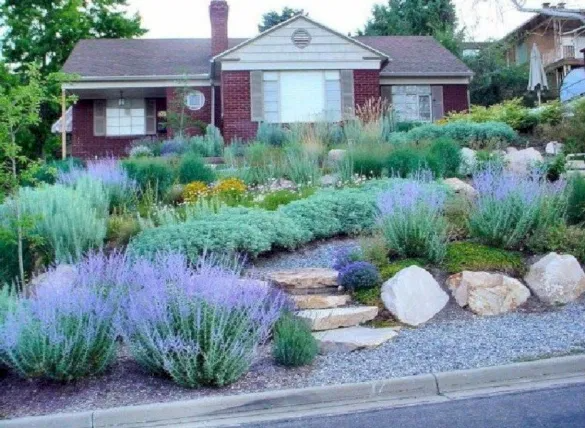 Transforming Your Front Yard into a Lush Garden Paradise