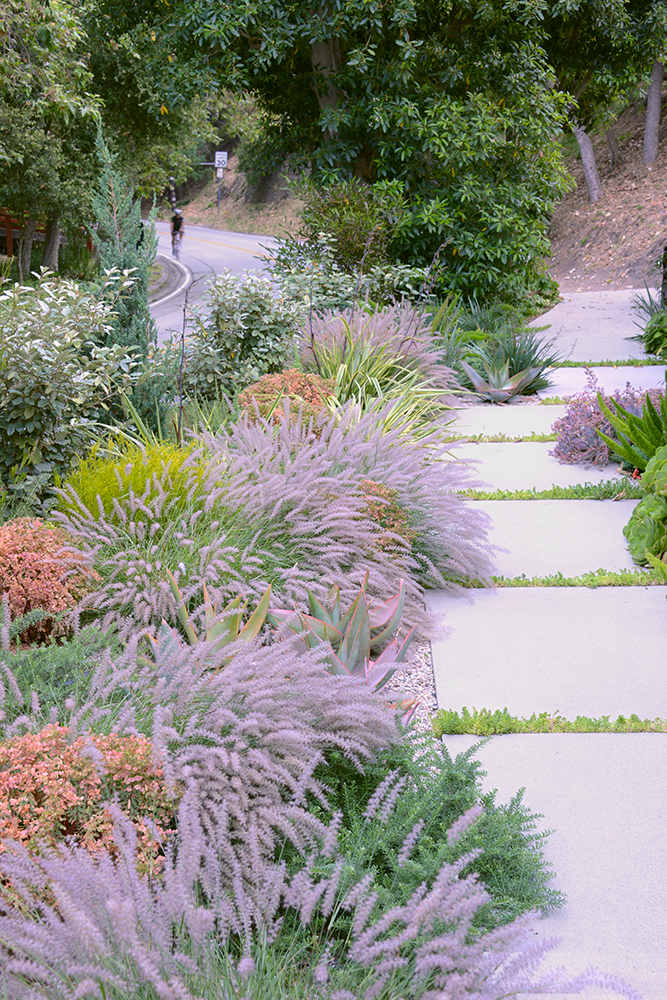 Transforming Your Front Yard into a Stunning Outdoor Oasis