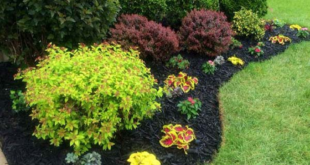 landscaping your front yard